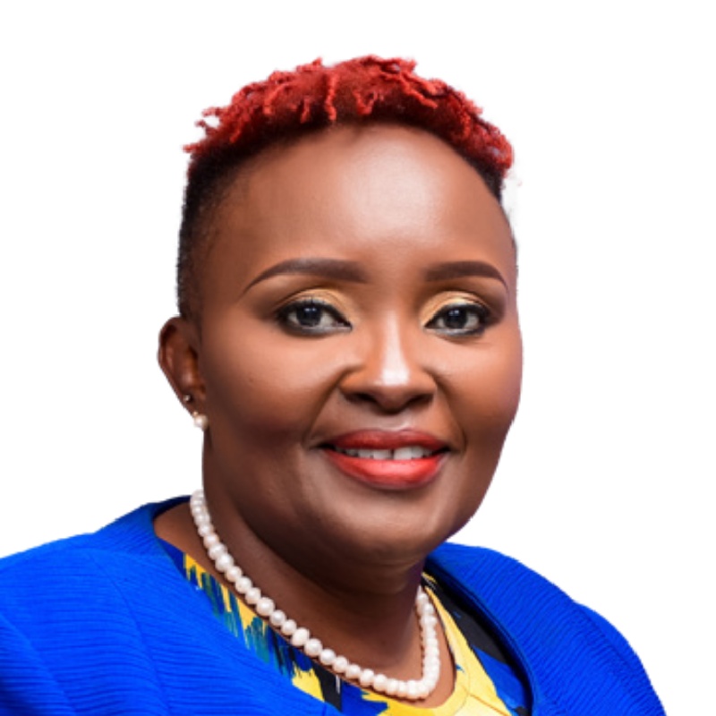 Board Member