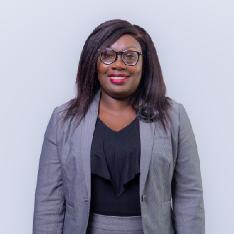 Board Member